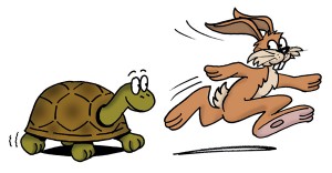 Hare-and-Tortoise-300x156